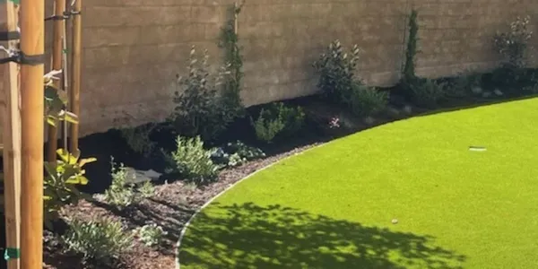 Freshly mowed green lawn