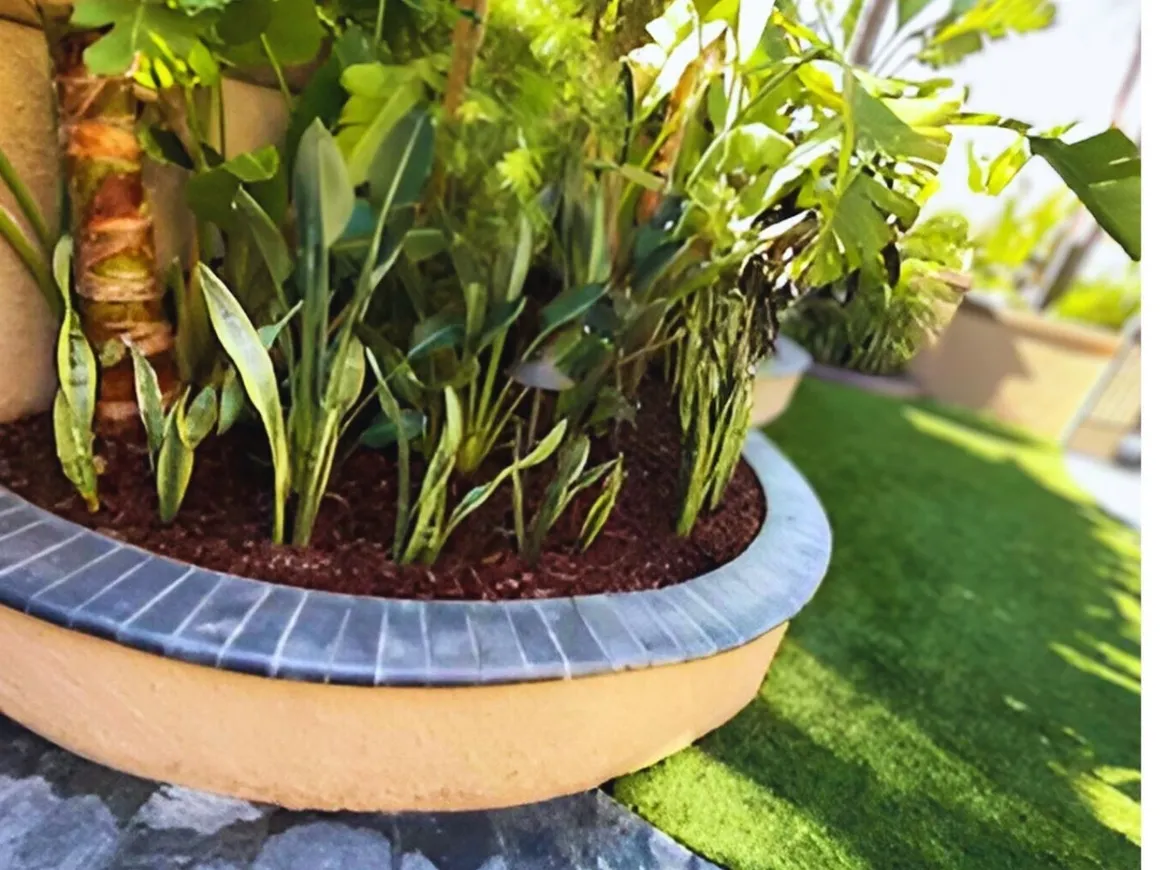 Perez landscaping project 2