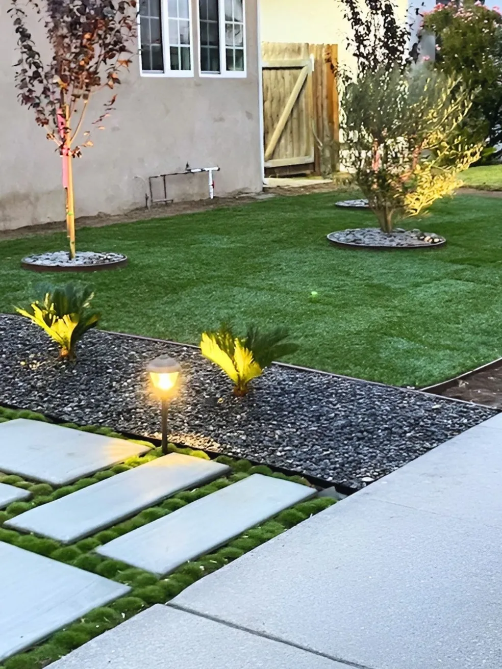 Lush landscaped garden with mature plants